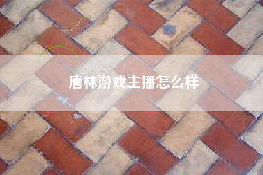 唐林游戏主播怎么样