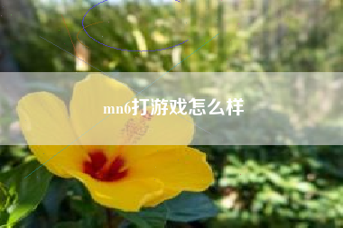 mn6打游戏怎么样