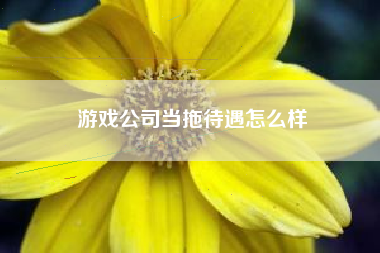 游戏公司当拖待遇怎么样