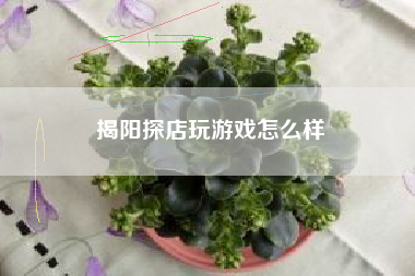 揭阳探店玩游戏怎么样