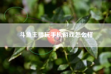 斗鱼主播玩手机游戏怎么样