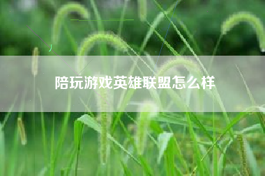 陪玩游戏英雄联盟怎么样