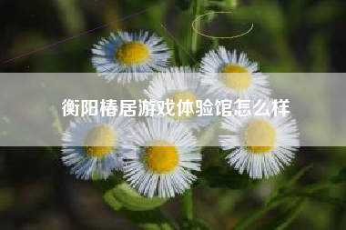 衡阳椿居游戏体验馆怎么样