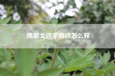 佛耶戈这个游戏怎么样