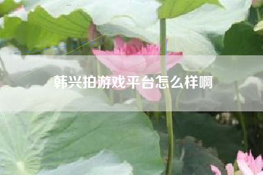 韩兴拍游戏平台怎么样啊