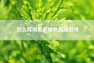 怎么样用索尼相机直播游戏