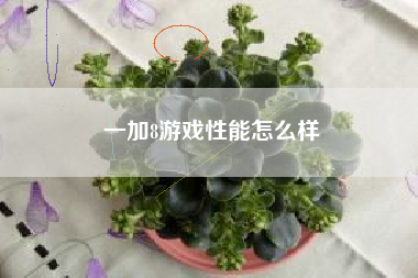 一加8游戏性能怎么样