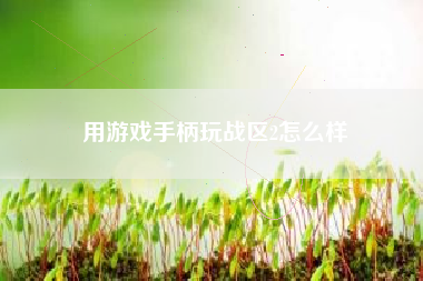 用游戏手柄玩战区2怎么样