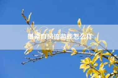 墨染自风流游戏怎么样