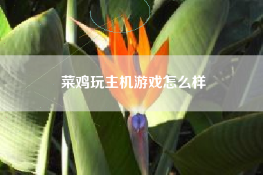 菜鸡玩主机游戏怎么样