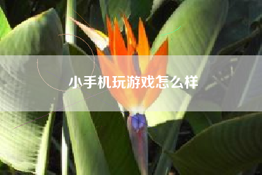 小手机玩游戏怎么样