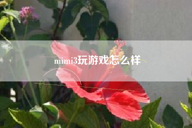 mimi3玩游戏怎么样