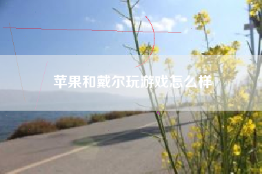 苹果和戴尔玩游戏怎么样