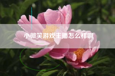 小微笑游戏主播怎么样啊