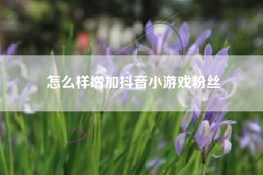 怎么样增加抖音小游戏粉丝