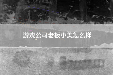 游戏公司老板小美怎么样