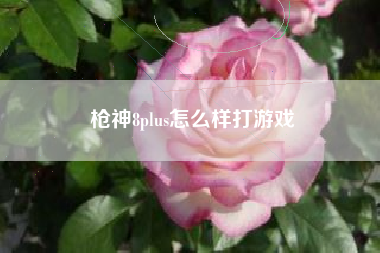 枪神8plus怎么样打游戏