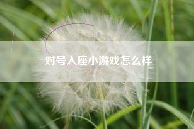 对号入座小游戏怎么样