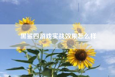 黑鲨四游戏实战效果怎么样