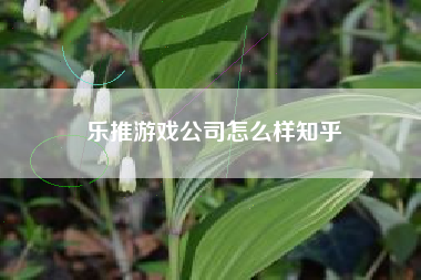 乐推游戏公司怎么样知乎