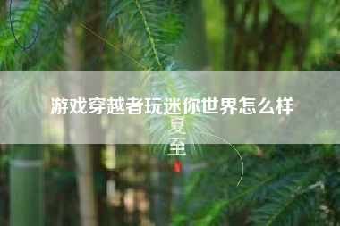 游戏穿越者玩迷你世界怎么样