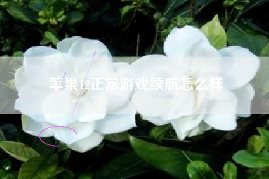 苹果12正常游戏续航怎么样