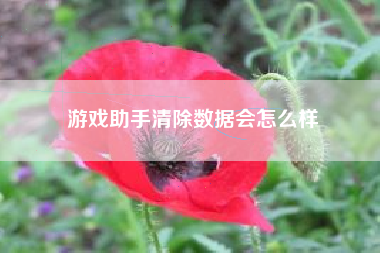 游戏助手清除数据会怎么样