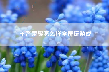 王者荣耀怎么样全屏玩游戏