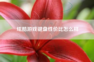 炫酷游戏键盘性价比怎么样