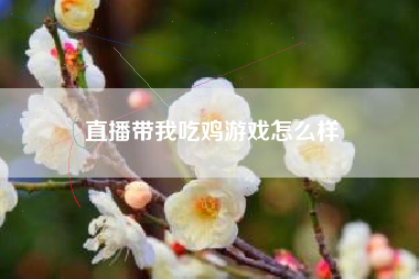 直播带我吃鸡游戏怎么样