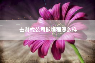 去游戏公司做编程怎么样