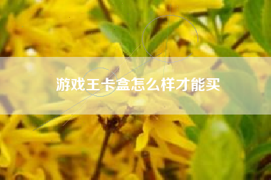 游戏王卡盒怎么样才能买