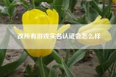 改所有游戏实名认证会怎么样