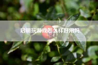 启明玩游戏怎么样好用吗