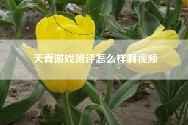 天青游戏测评怎么样啊视频