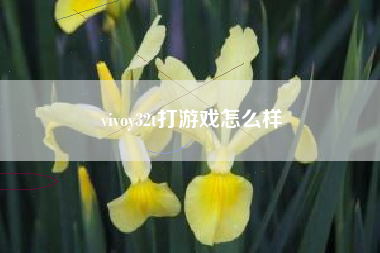 vivoy32t打游戏怎么样