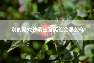 别的游戏抄袭王者英雄会怎么样