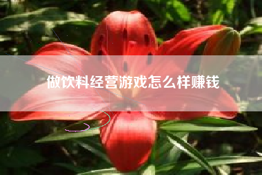 做饮料经营游戏怎么样赚钱
