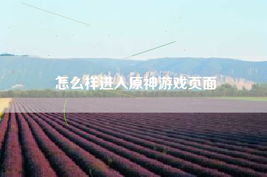 怎么样进入原神游戏页面