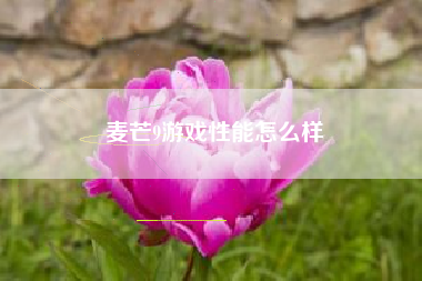 麦芒9游戏性能怎么样
