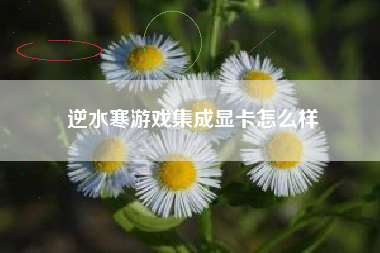 逆水寒游戏集成显卡怎么样