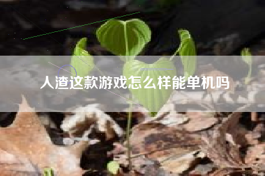 人渣这款游戏怎么样能单机吗