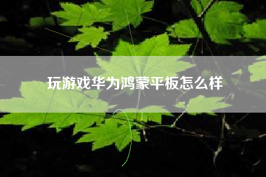 玩游戏华为鸿蒙平板怎么样