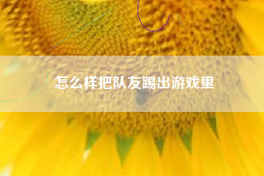 怎么样把队友踢出游戏里