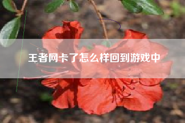 王者网卡了怎么样回到游戏中