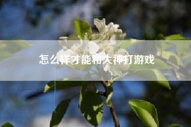 怎么样才能和大神打游戏