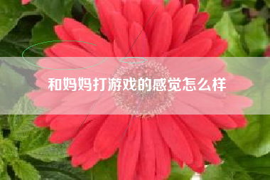 和妈妈打游戏的感觉怎么样