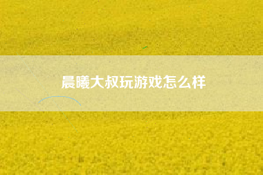 晨曦大叔玩游戏怎么样