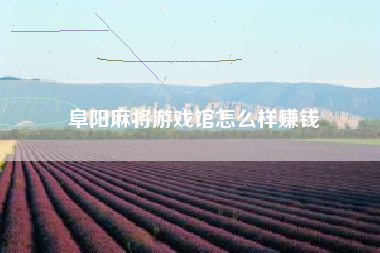 阜阳麻将游戏馆怎么样赚钱