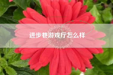 进步巷游戏厅怎么样